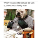 alcohol-hero- avatar