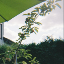 aldi-parkplatz avatar