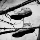 alea-actai-est avatar