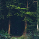 alec-tricityman avatar