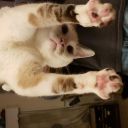 aleigh75-blog avatar