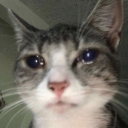 alejandram7u7 avatar