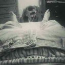 alejandro-jars avatar