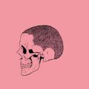 alejanres-blog avatar