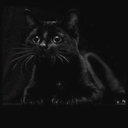 alejorusov9627 avatar