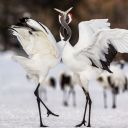 aleksandrdpostsworld avatar