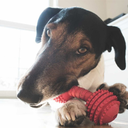 alekzandermorozova avatar