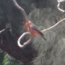 alex-blackwood-blog avatar