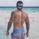alex-pohl avatar