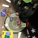 alex-the-cool-cat avatar