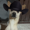 alexadimistories avatar