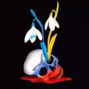 alexander0910w avatar