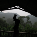 alexanderckane avatar