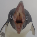 alexanderolly avatar