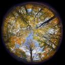 alexandersliver avatar