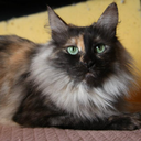 alexandherson avatar