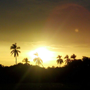 alexandra-trejo avatar