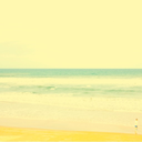 alexandrablakemodel avatar