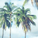 alexandraxxxx avatar