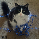 alexiakphotos avatar