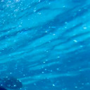 alexis-alexis avatar