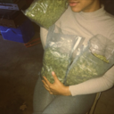 alexisnicoole avatar