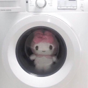 alexisvegasrkive avatar