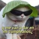 alexitadebieber3 avatar