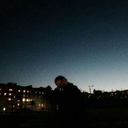 alexmilkovich avatar