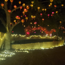 alexofasinfulnature avatar