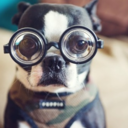 alexrapadaphoto-blog avatar