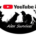 alexsurvival avatar
