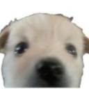 alexxs-stufff avatar