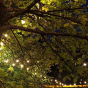 alexxxgs-blog avatar