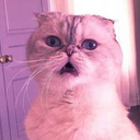 aleyna1989ilhan avatar