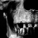 alfaomegaorientis avatar