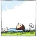 alfaprivativa avatar