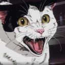 alfietalksaboutcomics avatar