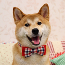 alfredbonnefoy avatar