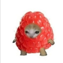 alfredo-king07 avatar