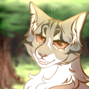 alfredoseeker avatar