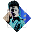 algaenotwar-archive avatar