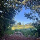 algo-esta-cambiando-en-mi avatar