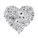 algod0nes-de-azucar avatar