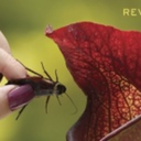 algolagnist-blog avatar