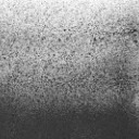 algoricalgorithm avatar