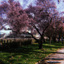 alguien-que-me-haga-volar avatar