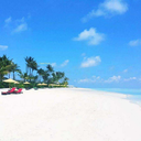 aliabra1-blog avatar