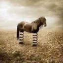 alianaslilblog avatar