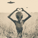 alice-in-her-world avatar